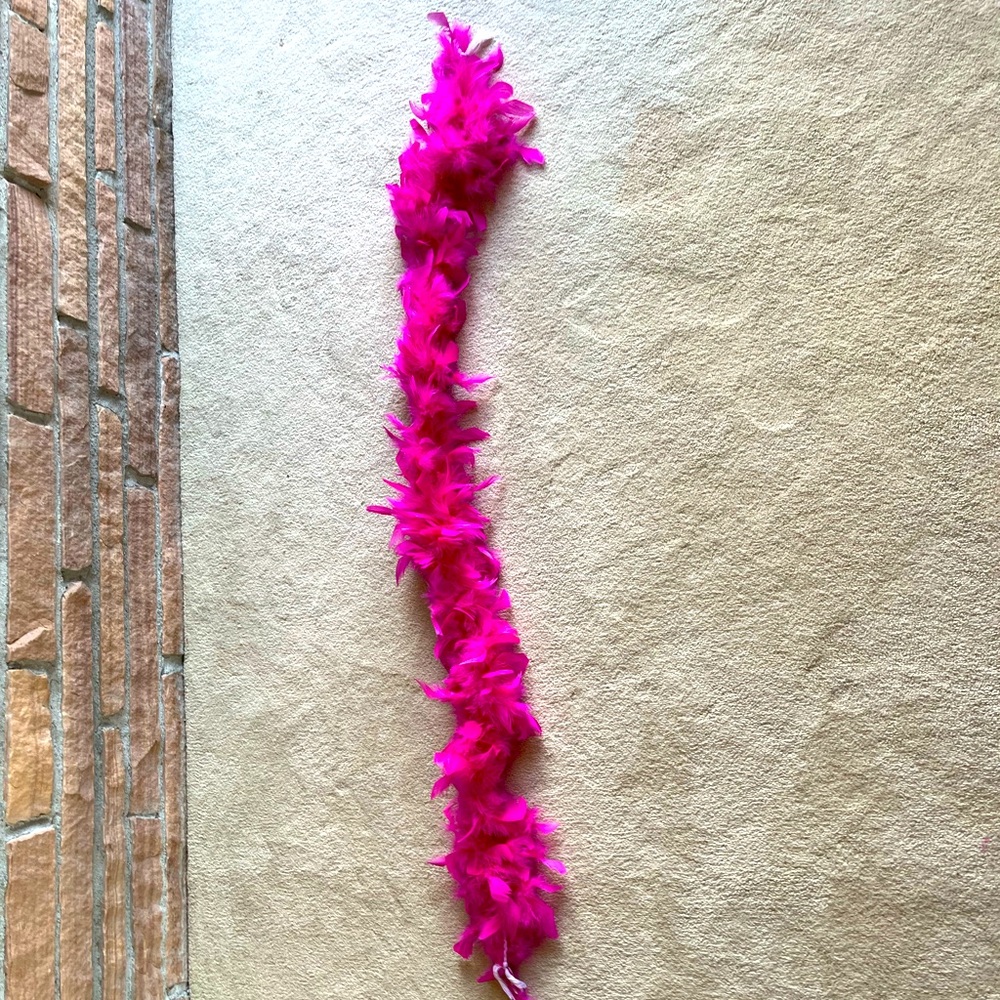 Hot Pink Feather Boa
